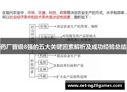 药厂晋级8强的五大关键因素解析及成功经验总结