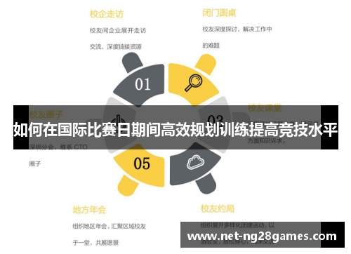 如何在国际比赛日期间高效规划训练提高竞技水平