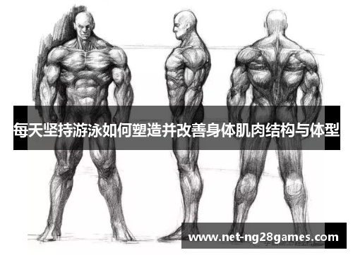 每天坚持游泳如何塑造并改善身体肌肉结构与体型