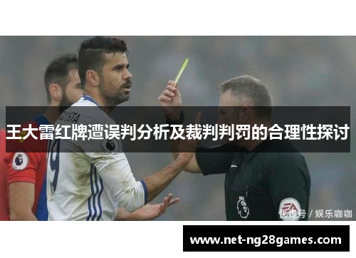 王大雷红牌遭误判分析及裁判判罚的合理性探讨