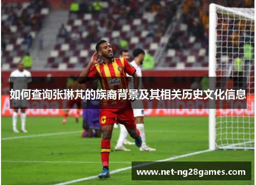 如何查询张琳芃的族裔背景及其相关历史文化信息