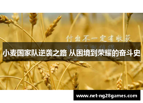 小麦国家队逆袭之路 从困境到荣耀的奋斗史